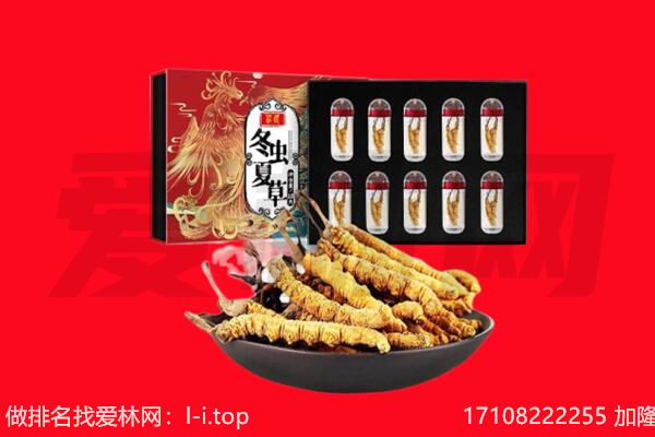 巴彦卓尔五原县回收虫草.jpg